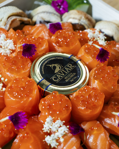 Brand & Creative Strategy